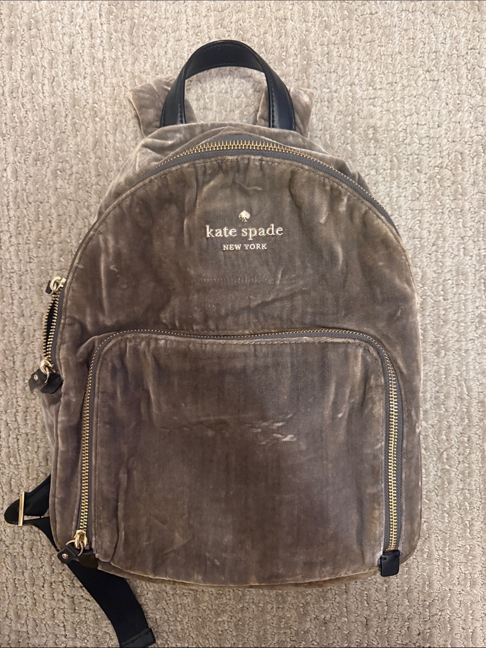 kate spade Brown Velvet Backpack with Gold Hardware